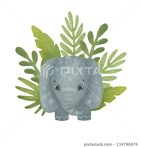 Baby elephant in tropical leaves, composition. Cartoon illustration in a flat style. Watercolor, pastel, gouache. Green, gray. For design of children's products, prints, packaging, textiles, wallpaper Baby elephant in tropical leaves, composition. Cartoon illustration in a flat style. Watercolor, pastel, gouache. Green, gray. For design of children's products, prints, packaging, textiles, wallpaper 134790874