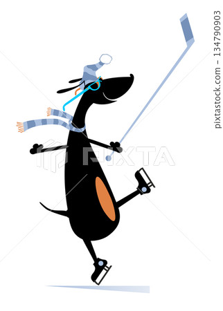 Cute dog an ice hockey player. Cartoon dachshund plays ice hockey. Isolated on white background Cute dog an ice hockey player. Cartoon dachshund plays ice hockey. Isolated on white background 134790903