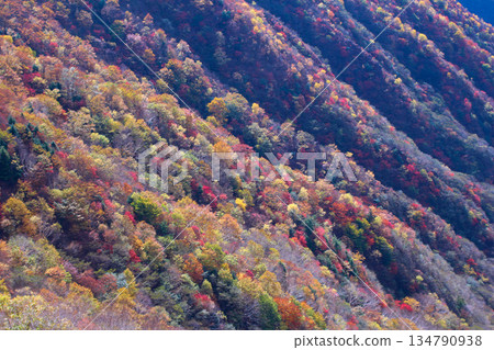Autumn leaves seen from Hangetsuyama Pass in Oku-Nikko Autumn leaves seen from Hangetsuyama Pass in Oku-Nikko 134790938