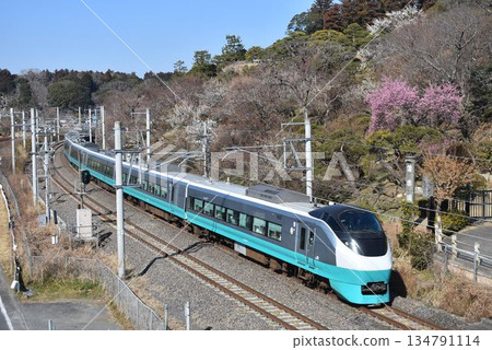 E657 Green Lake and Kairakuen 134791114