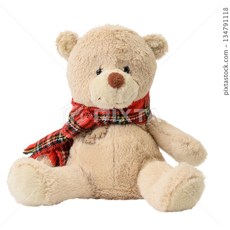 A soft beige toy bear with a red checkered scarf with fringe tied around its neck A soft beige toy bear with a red checkered scarf with fringe tied around its neck 134791118