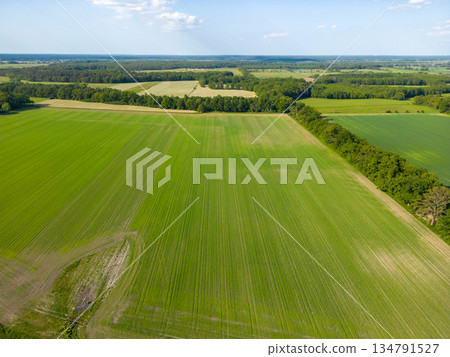 Gartow, Lower Saxony, Germany Gartow, Lower Saxony, Germany 134791527