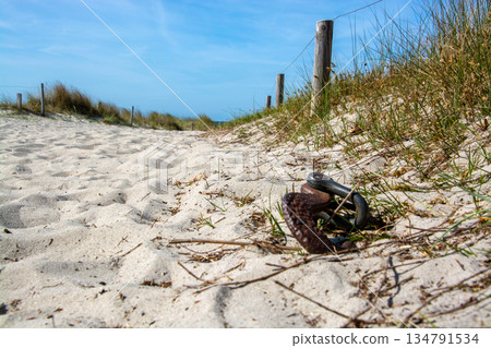 Beach of Zingst, Germany 134791534