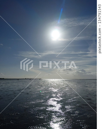 The Wadden Sea near Buesum, Germany The Wadden Sea near Buesum, Germany 134791543