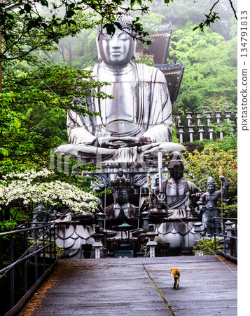 Buddha statue and stray cat surrounded by fresh greenery 134791813
