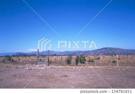 穿越荒野前往白色之城塔斯科 02 134791851