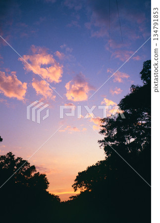 在叢林河流中尋找遠古魚類05 134791853