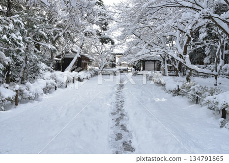 通往二尊院的白雪覆蓋的道路 134791865