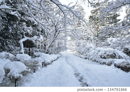 通往二尊院的白雪覆蓋的道路 134791866