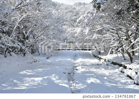 通往二尊院的白雪覆蓋的道路 134791867
