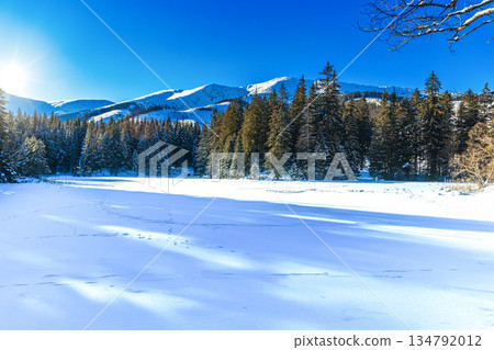 Pristine Winter Landscape with Frozen Lake and Pine Forest 134792012
