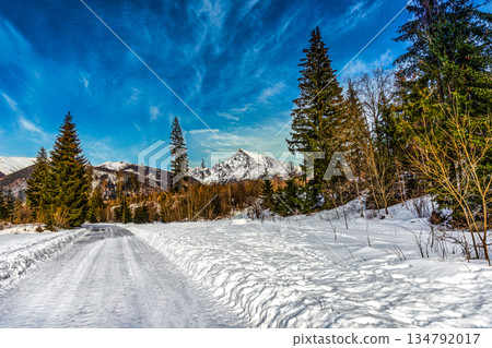 Winding Winter Road Leading to Mount Krivan, High Tatras Winding Winter Road Leading to Mount Krivan, High Tatras 134792017
