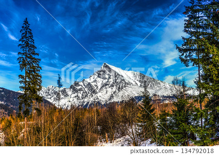 Iconic Krivan Peak Framed by Spruce Trees in Winter 134792018