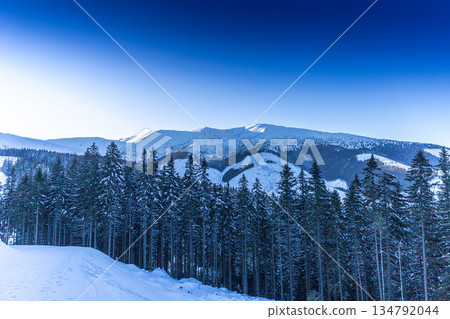 Majestic Winter Mountain Range Above Evergreen Forest Majestic Winter Mountain Range Above Evergreen Forest 134792044