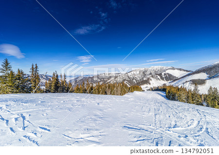 Winter Mountain Landscape with Evergreen Trees and Ski Slope Winter Mountain Landscape with Evergreen Trees and Ski Slope 134792051