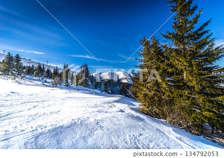 Winter Mountain Landscape with Evergreen Trees and Ski Slope Winter Mountain Landscape with Evergreen Trees and Ski Slope 134792053
