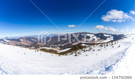Winter Mountain Panorama with Ski Slope and Pine Forest Winter Mountain Panorama with Ski Slope and Pine Forest 134792060