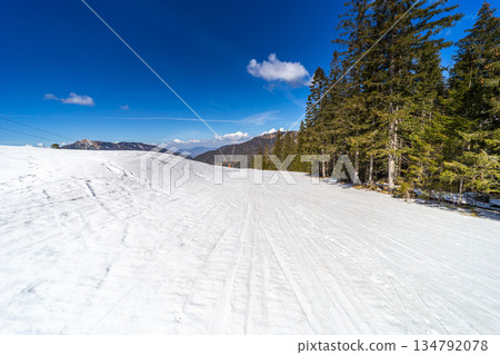 Ski Slope Bordered by Evergreen Forest Under Blue Sky Ski Slope Bordered by Evergreen Forest Under Blue Sky 134792078