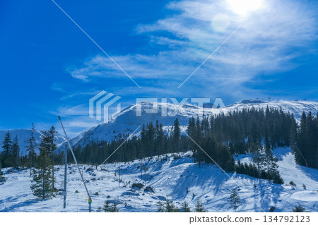 Winter Mountain Landscape with Ski Slope and Pine Forest 134792123