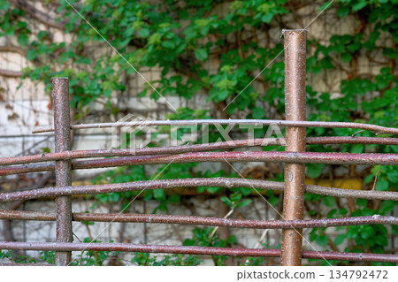 Hedge fence made of branches and cuttings with green leaves 134792472