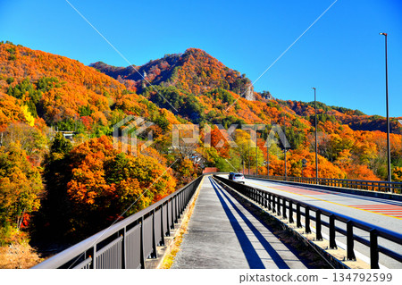丸岩橋/八波吾妻湖，望向路邊車站（群馬縣長野原町）[2025年11月] 134792599