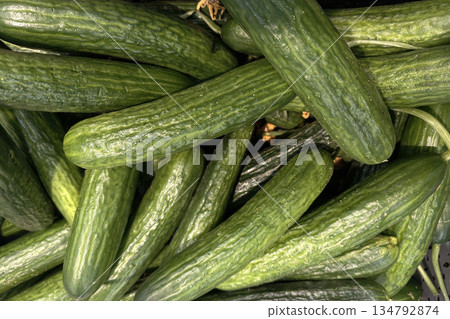 Multiple cucumbers are stacked closely together in a basket at a market. The sunlight highlights their shiny skin and fresh appearance Multiple cucumbers are stacked closely together in a basket at a market. The sunlight highlights their shiny skin and fresh appearance 134792874