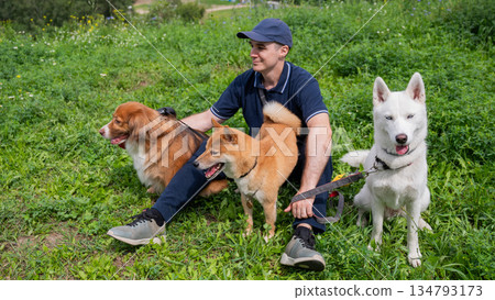 A Caucasian man walks with three dogs. Dog walker. A Caucasian man walks with three dogs. Dog walker. 134793173