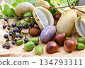 Autumn wild vegetables and fruits 134793311