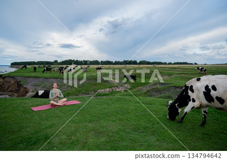 Caucasian woman doing yoga on the river bank among a herd of cows. Caucasian woman doing yoga on the river bank among a herd of cows. 134794642