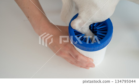 The owner washes the dog's paws in a special device. The owner washes the dog's paws in a special device. 134795044
