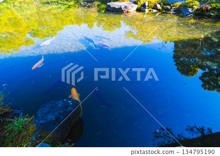 京都大龍山莊的庭園 134795190