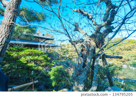 The garden of Tairyu Sanso in Kyoto The garden of Tairyu Sanso in Kyoto 134795205