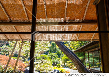 京都大龍山莊的庭園 134795323