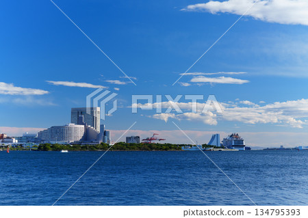 Tokyo coastal subcenter, Tokyo Bay and Odaiba scenery Tokyo coastal subcenter, Tokyo Bay and Odaiba scenery 134795393