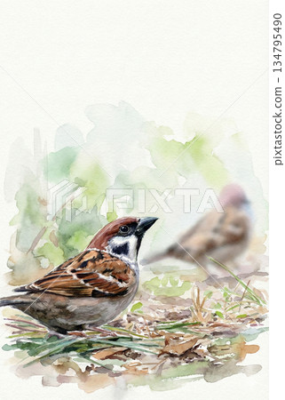 療癒麻雀 精緻手繪水彩手機桌布 134795490