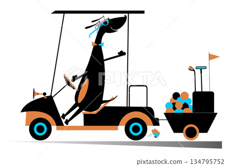 golf, dog, vector 134795752