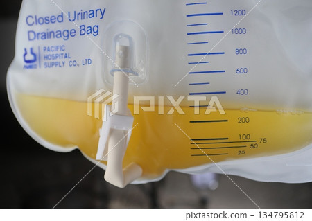 Catheterization bag Catheterization bag 134795812