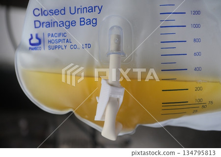 Catheterization bag Catheterization bag 134795813