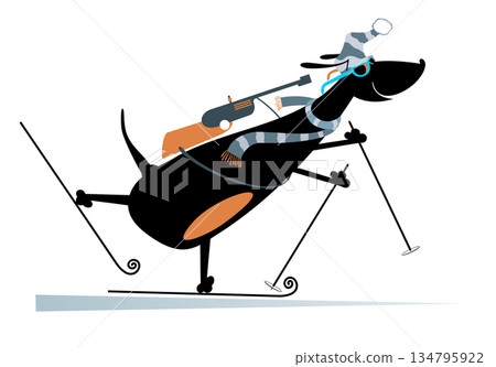skier, skiing, dog 134795922