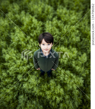Young boy stands in a field of tall grass, looking up at the camera Young boy stands in a field of tall grass, looking up at the camera 134796062