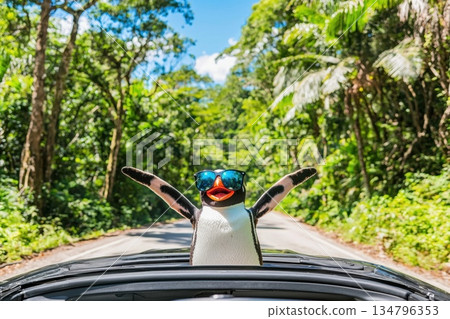 Cheerful Penguin Wearing Reflective Sunglasses Enjoying a Scenic Road Trip Adventure Cheerful Penguin Wearing Reflective Sunglasses Enjoying a Scenic Road Trip Adventure 134796353
