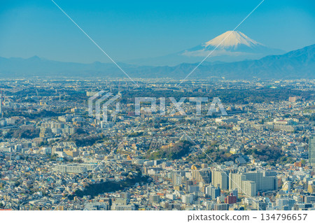 (Kanagawa Prefecture) View of Yokohama cityscape and Mt. Fuji from Yokohama Landmark Tower 134796657
