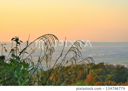 Autumn sunset and cityscape from Happodai (Nagaoka City, Niigata Prefecture) Autumn sunset and cityscape from Happodai (Nagaoka City, Niigata Prefecture) 134796779