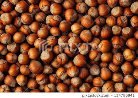 Fresh Hazelnuts in Warm Tones Captured in Full Screen Pattern Fresh Hazelnuts in Warm Tones Captured in Full Screen Pattern 134796941