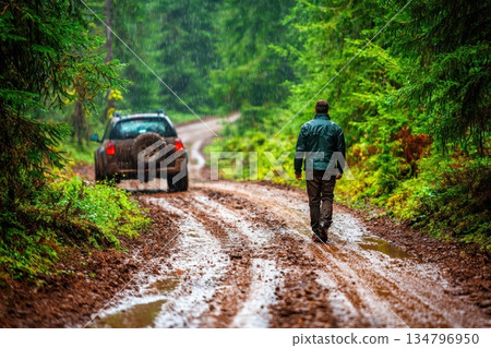 Off-Road Adventure with Vehicle on a Muddy Path Through Lush Green Forest 134796950