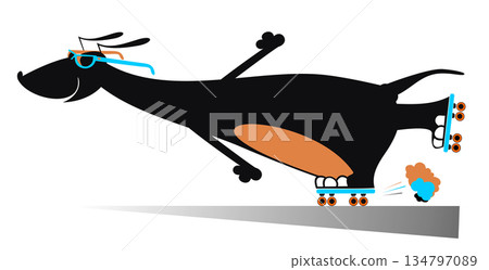 Comic dog roller skates silhouette	 134797089