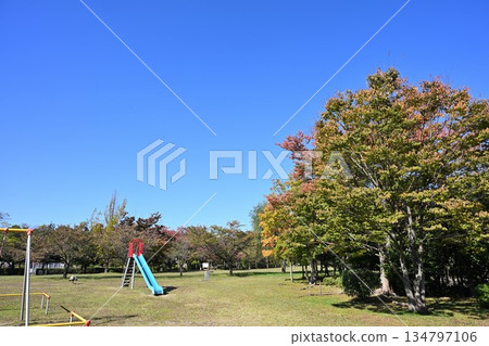 湊川公園(新潟縣新潟市)的秋葉景色 湊川公園(新潟縣新潟市)的秋葉景色 134797106