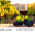 Red wine, wine glasses, winery, vineyard 134797237