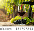 Red wine, wine glasses, vineyard 134797243