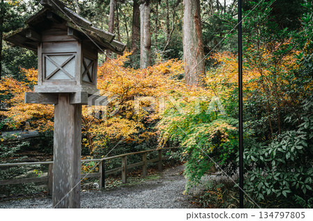 日本神話：神聖的森林與河流（神社與五十鈴川） 134797805